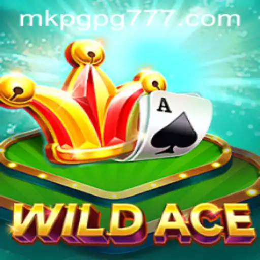 WildAce: Uma Nova Experiência no Universo dos Jogos